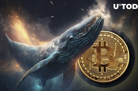 Bitcoin (BTC) Whales Cash out $2.20 Billion in Week: What’s Reason?