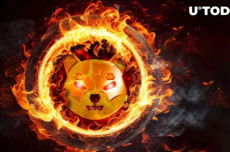 Astonishing 17 Billion SHIB Burned in Past Week, Burn Rate up 100%