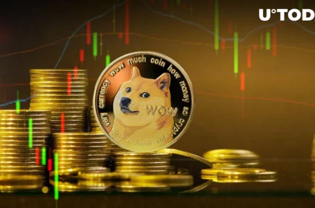 Dogecoin (DOGE) Metrics Show Mega Rally Is About to Start
