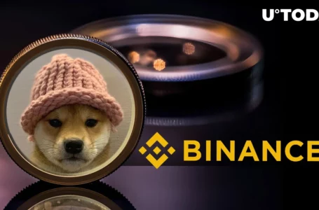 Dogwifhat (WIF) Coming to Binance? New Solana Meme Coin on High Alert After This Post