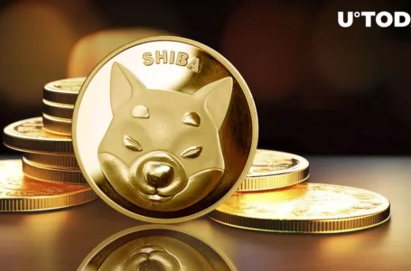 Shiba Inu (SHIB) Price History Signals Crazy January: Here’s What to Expect