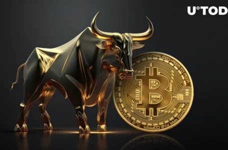 Bitcoin Halving in April 2024 Could Extend Bullish Trends, Says Top Analyst