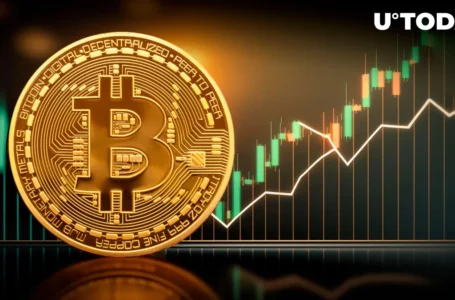 Recent Bitcoin (BTC) Price Rally “Feels Different,” Top Money Manager Says