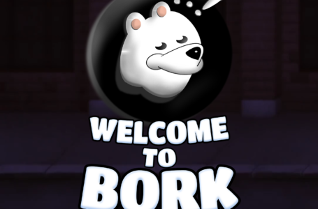 Bork Review: All To Know About