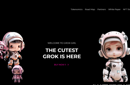 Grok Girl Review: An AI-Based Cryptocurrency Backed By A Proficient Team
