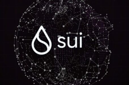 Sui (SUI) Review: All You Need To Know