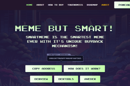 SmartMEME Review: Everything To Know About