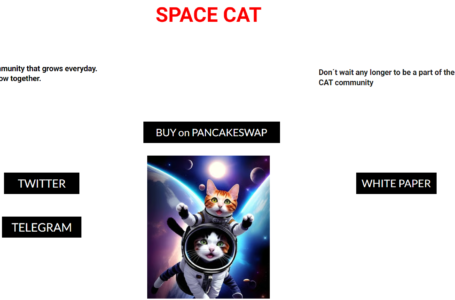SPACE CAT Review: All You Need To Know