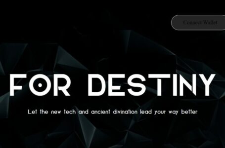 CrazyRabbit Review: All You Need To Know