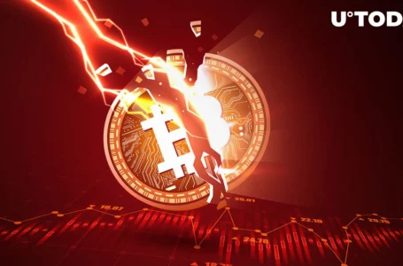 Bitcoin Will Lose Importance with Spot ETFs, Second Foundation CIO Says