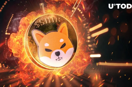 Shiba Inu Burns Billions: SHIB Burn Rate Skyrockets by 727,870%