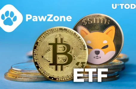 Bitcoin ETF May Have Tremendous Impact on SHIB Price: PawZone Founder