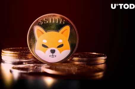 Shiba Inu (SHIB) on Verge of Gaining Another Zero, Again