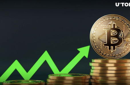 Bitcoin (BTC) Suddenly Reclaims $43,000. Key Reason Why