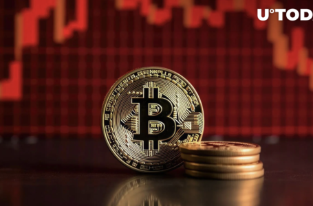 Bitcoin (BTC) Price Collapses. Is ETF Hype Over?