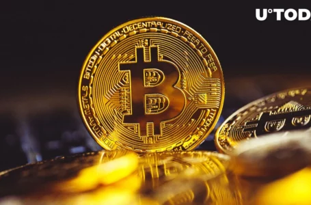 Bitcoin (BTC) Bears’ $145 Million Bloodbath: $45,000 Price Surge Pulls Liquidations Up