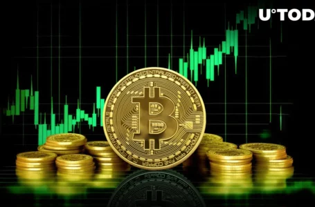 Bitcoin Price Surging to $74,000 Predicted by Trader Bob Lukas, According to This Metric