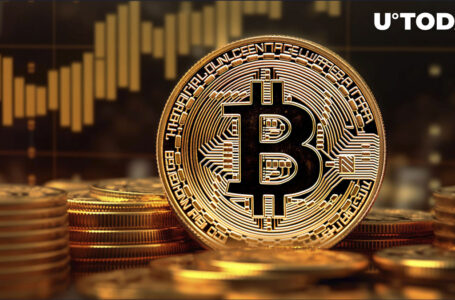 Bitcoin (BTC) Price Could Recover Losses Quickly, Trader Predicts