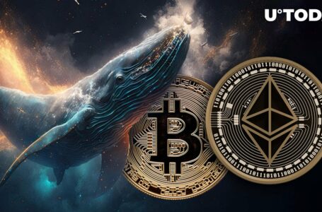 Whales Buying Ethereum (ETH) and Bitcoin (BTC) Dump