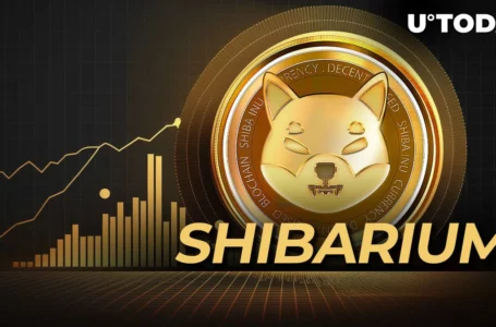 Is SHIB Price Ready to Erase Zero? Shiba Inu’s Shibarium 141% Spike May Signal It