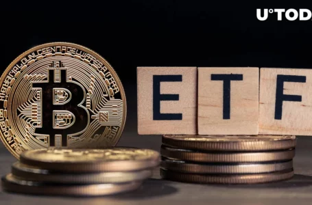 Bitcoin ETF Approval Might Bring Dramatic Drop for Crypto, Expert Says