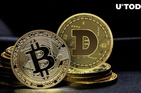 Dogecoin Founder Comments on Bitcoin (BTC) Topping $47,000