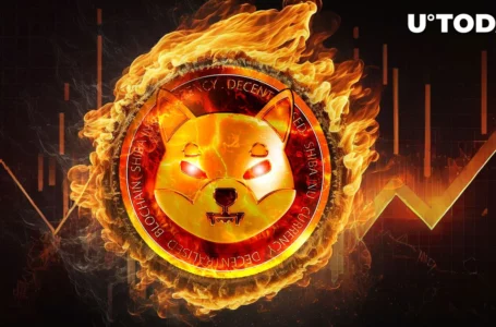 Shiba Inu (SHIB) 900% Burn Rate Surge Is Growth Signal, Here’s Why