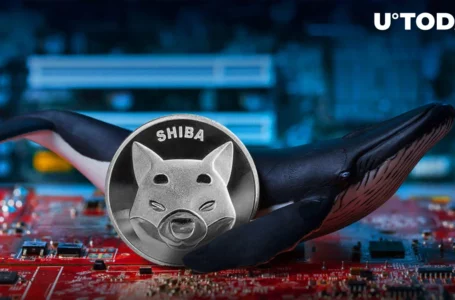 Shiba Inu Whale Alert: $89.88 Million SHIB Transaction Sparks 1,300% Surge