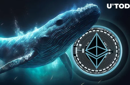 Ethereum Whale Snaps up 4,677 ETH in Bold Bet: Details
