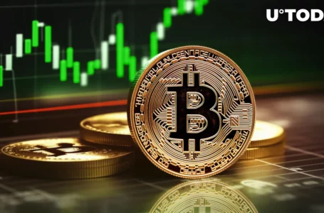 Bitcoin (BTC) Surge Puts 90% of Holders in Profit Territory After Two Years