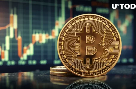 ‘Omega Candle’ for Bitcoin (BTC) and ‘Perfect Storm’ Coming: Samson Mow
