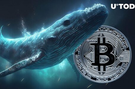 Bitcoin (BTC) Witnesses Half Billion Worth of Whale Activity With One Secret Transfer