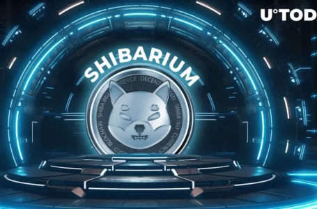 Shiba Inu: Shibarium’s Future Unveiled by SHIB Marketing Lead