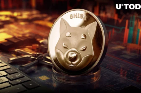 Shiba Inu (SHIB) Adds Zero to Price as Bulls Get Disappointed