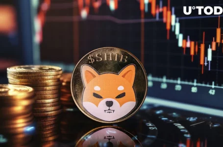 Shiba Inu (SHIB) Loses Momentum, But Revival Is Imminent, Here’s How