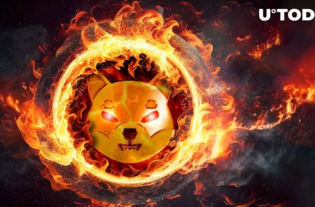 Weekly SHIB Burns Skyrocket 11,618%, Here’s Surprising Part