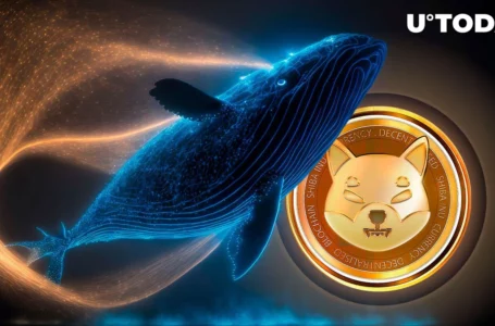 Mysterious Shiba Inu Whale Drops $2.7 Million on SHIB, and Surprising Extra