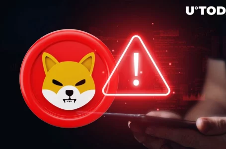 Shiba Inu (SHIB) Faces Delisting on This Platform: Details