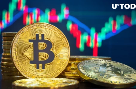 Is Another Bitcoin (BTC) Price Correction on the Horizon?