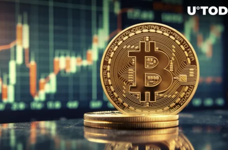 Bitcoin (BTC) $42 Trillion Support Level Secures This Price Range