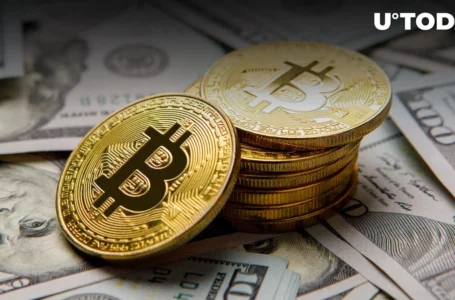 $174,000 for Bitcoin (BTC) Transaction: Enormous Fee Just Paid