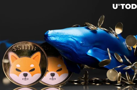 Dormant Ethereum (ETH) Whale Just Woke up and Bought Billions of Shiba Inu (SHIB)