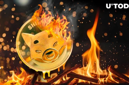 Shiba Inu (SHIB) Burn Rate Skyrockets 2,900%; How Will Price React?
