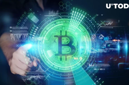 Satoshi-Era Bitcoin Whale Stirs: $2 Billion in BTC on Move