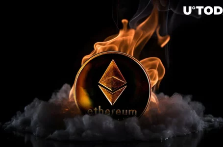 Here’s Who Burned 9,001 ETH in Last 30 Days