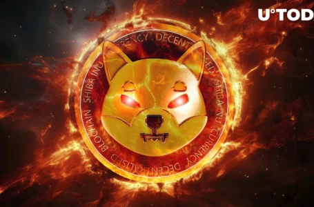 Massive Weekly SHIB Burn Noticed, Still This Metric Goes Terribly Wrong
