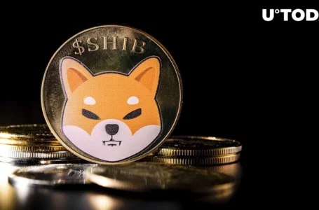 Shiba Inu (SHIB) Close to Clearing One Zero as This Metric Shoots up 15%