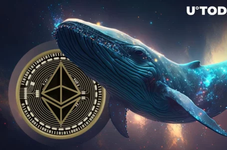 Dormant Ethereum (ETH) Whale Revives to Take This First Action as Market Drops