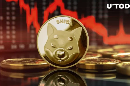 Shiba Inu: 70 Trillion SHIB Might Rescue Price From Steep Fall