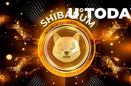 Major Shibarium Partner and SHIB Burner Revealed by Shiba Inu Member